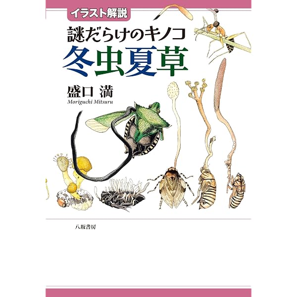 冬虫夏草ハンドブック | 盛口 満, 安田 守 |本 | 通販 | Amazon